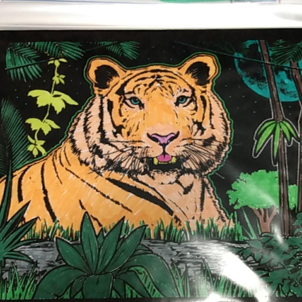 Small color of a tiger